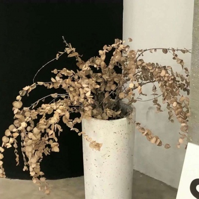 二次元兽设设计技巧福瑞交流群